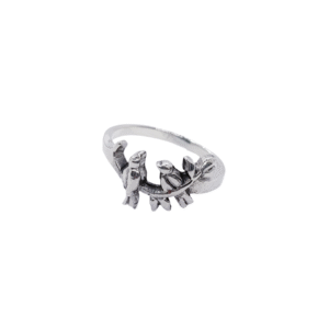 Anillo Aves