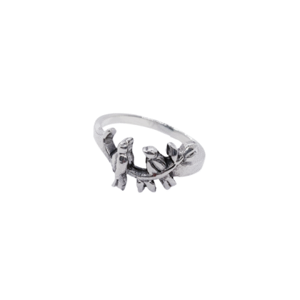 Anillo Aves