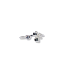 Anillo Lazo